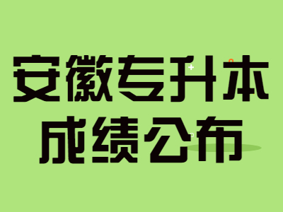 安徽藝術學院專升本