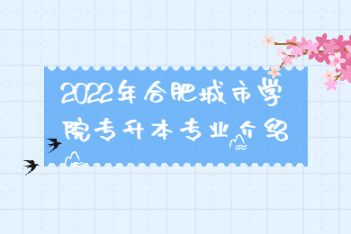 2022年合肥城市學院專升本專業介紹