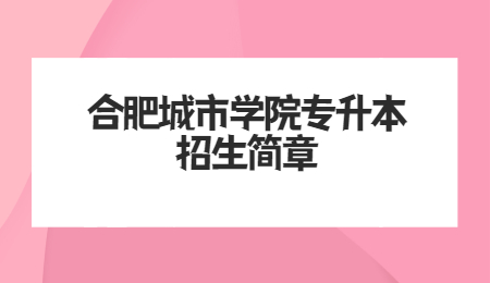 合肥城市學院專升本招生簡章
