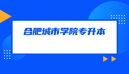 合肥城市學(xué)院專升本