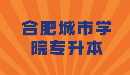 合肥城市學院專升本