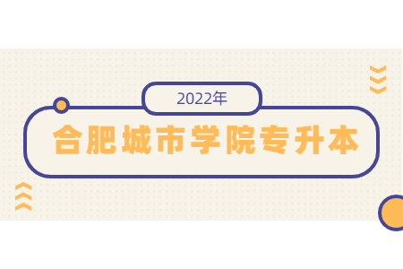 合肥城市學院專升本.jpg
