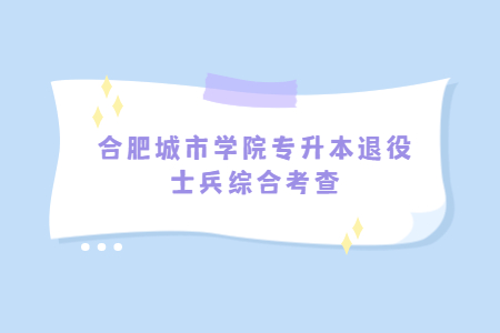 合肥城市學院專升本退役士兵綜合考查.jpg
