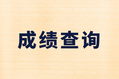 2022年阜陽師范大學信息工程學院專升本專業課成績查詢
