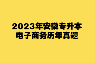 2023年安徽專升本電子商務歷年真題