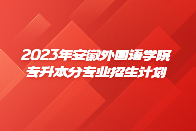 2023年安徽外國語學院專升本分專業招生計劃