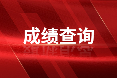 2023年皖江工學院專升本查分申請表