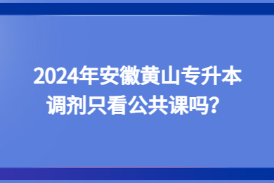 2024年安徽黃山專升本調(diào)劑只看公共課嗎？