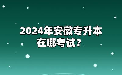 2024年安徽專升本