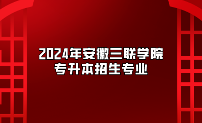 2024年安徽三聯學院專升本招生專業