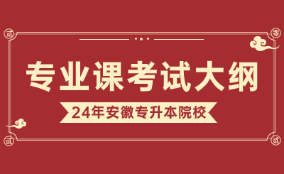 2024年安徽文達信息工程學院專升本表演專業課考試大綱