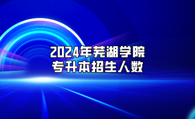 2024年蕪湖學院專升本招生人數表