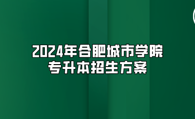 2024年合肥城市學院專升本招生方案