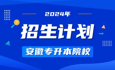 2024年銅陵學(xué)院專升本招生計(jì)劃