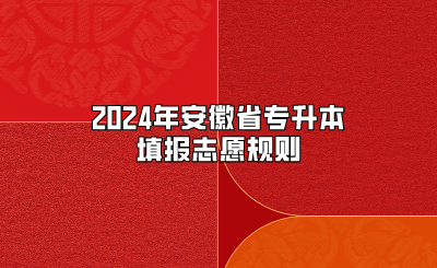 2024年安徽省專升本填報志愿規則
