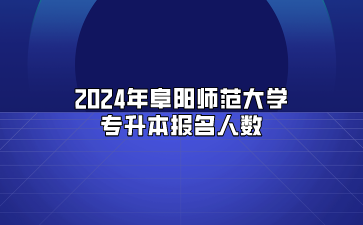 2024年阜陽師范大學專升本報名人數(shù)