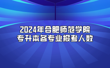 2024年合肥師范學(xué)院專升本各專業(yè)報(bào)考人數(shù)