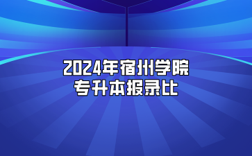 2024年宿州學(xué)院專(zhuān)升本報(bào)錄比