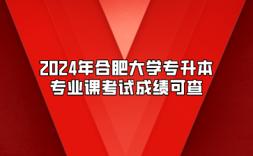 2024年合肥大學(xué)專升本專業(yè)課考試成績可查