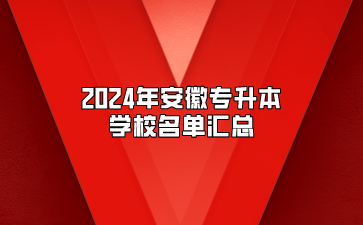 2024年安徽專升本學校名單匯總