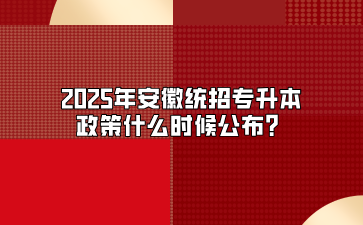 2025年安徽統招專升本政策什么時候公布？