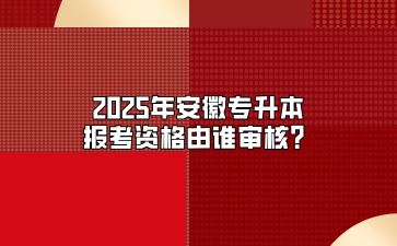 2025年安徽專升本報考資格由誰審核？
